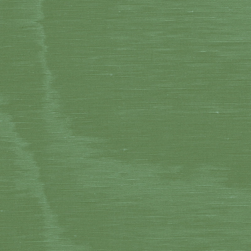 Incomparable Moire Fabric, Vert