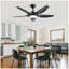 Ventilateur de plafond 48 pouces avec lumière DEL à intensité variable et télécommande, moteur à courant continu à 5 pales ABS-1762167916