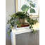 Fausse plante lierre 13 po en pot de Fiberstone