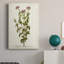 «Antique Herb Botanical I», impression sur toile tendue-773044614