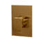 Eleganza Built-In Progressive Pressure Balancing Mixer-1886073486