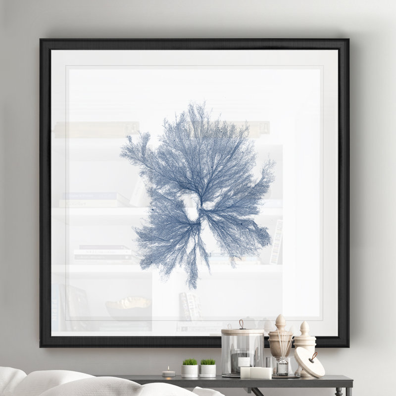 « marine algues iii », reproduction d’art, H 26,5 po x l 26,5 po x P 1,5 po, Cadre noir