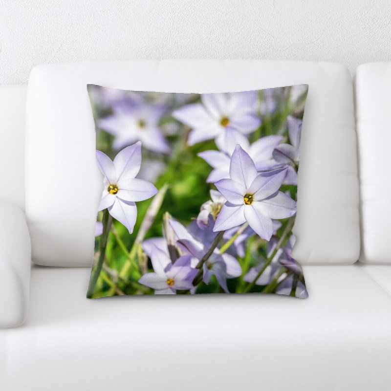 Coussin décoratif étoile spring