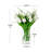 Tulip Arrangement in Vase