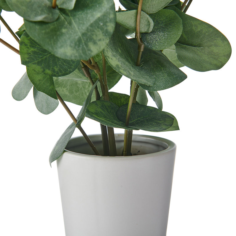 Elements Artificial Eucalyptus In Vase, 22 Inch
