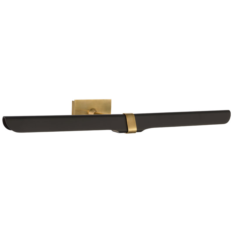 Issa Dimmable LED Wall Mounted Picture Light, Hand Rubbed Antique Brass/Black