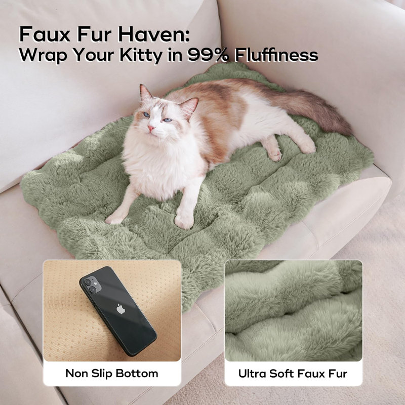 Lit pour chat pour chats d'intérieur, Vert