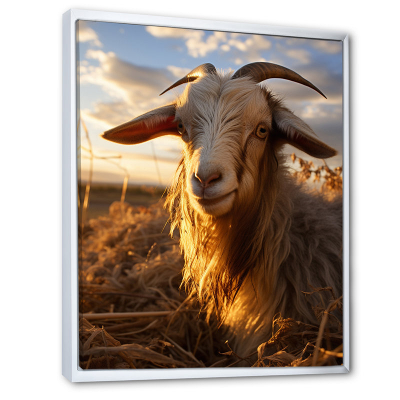 Keeisha Goat Portrait Vibrant II sur toile, H 32 po x l 24 po x P 1 po, Cadre flottant blanc