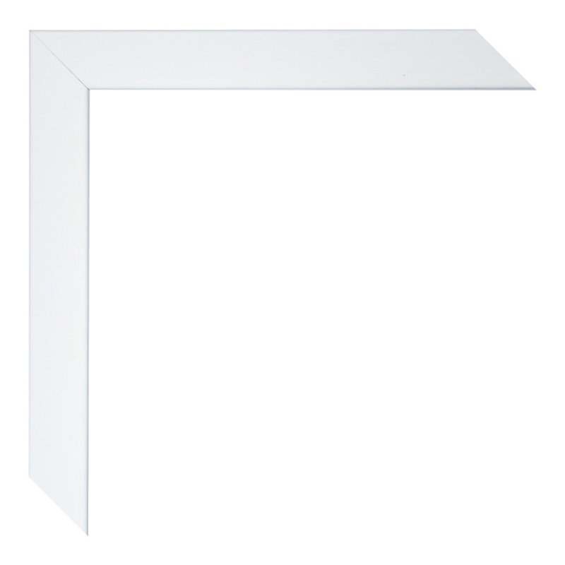 Blandinsville Wood Picture Frame with Mat, White