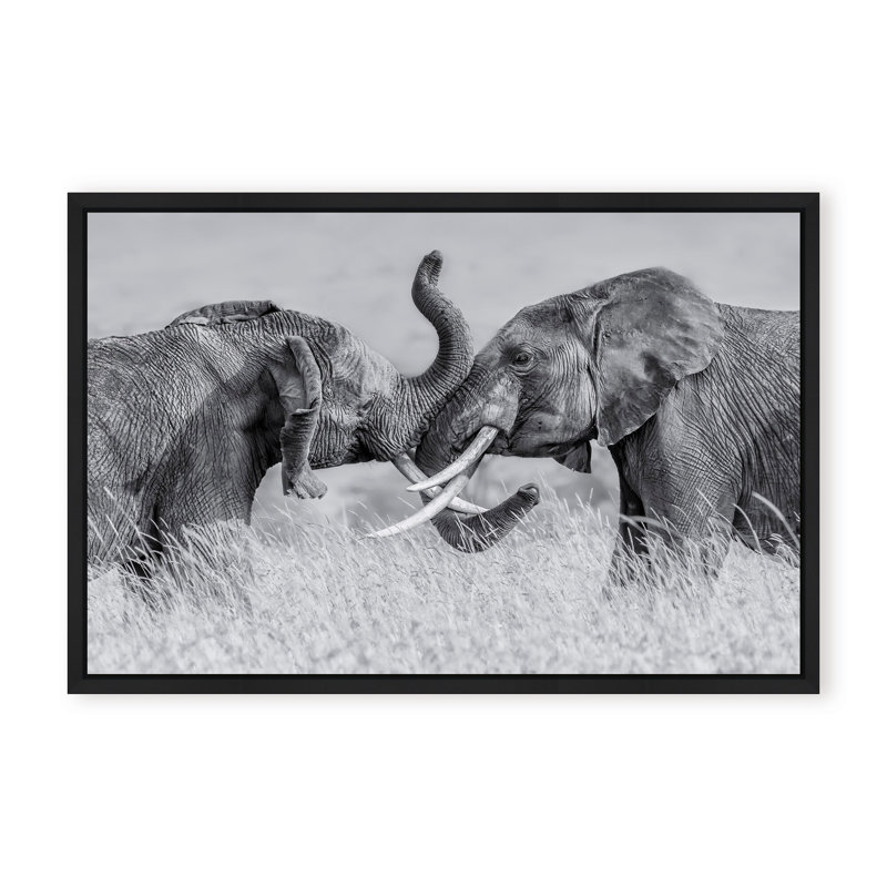 Nature Inspired Elephant Tai Chi by  - Picture Frame Photograph on Paper, 24" H x 36" W x 2.375" D, Framed Canvas, Beige