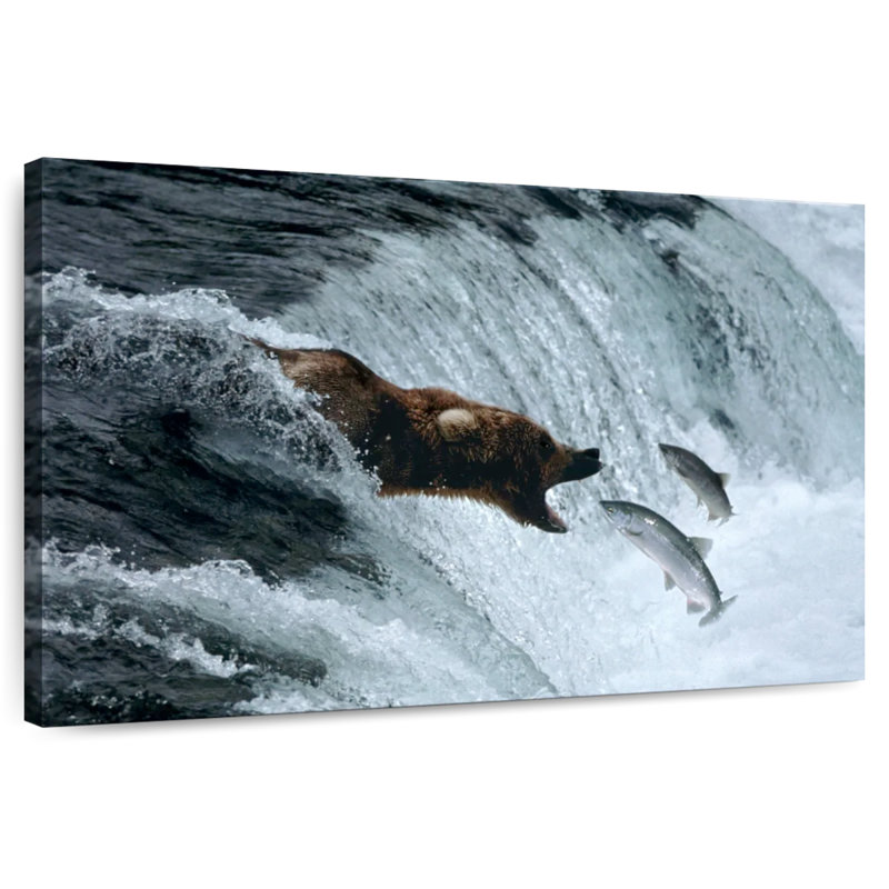 Grizzly Brampt attrapant le saumon, H 16 po x l 24 po