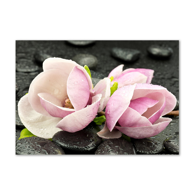 Magnolia Stone Zen - No Frame Print on Canvas