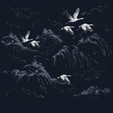 Midnight 9.19' L x 118.11" W Wall Mural