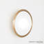 Oculus Mirror-Med-160713126