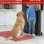 Non Slip Area Rugs Machine Washable Carpet Pad Entryway Rug Low Pile Modern Mat For Bedroom - 1322NR-2146627180