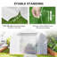 Serre 19,5 'x 10' Greenhouse