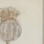 Poppy Crema Painting by Paul Meyer-189358190