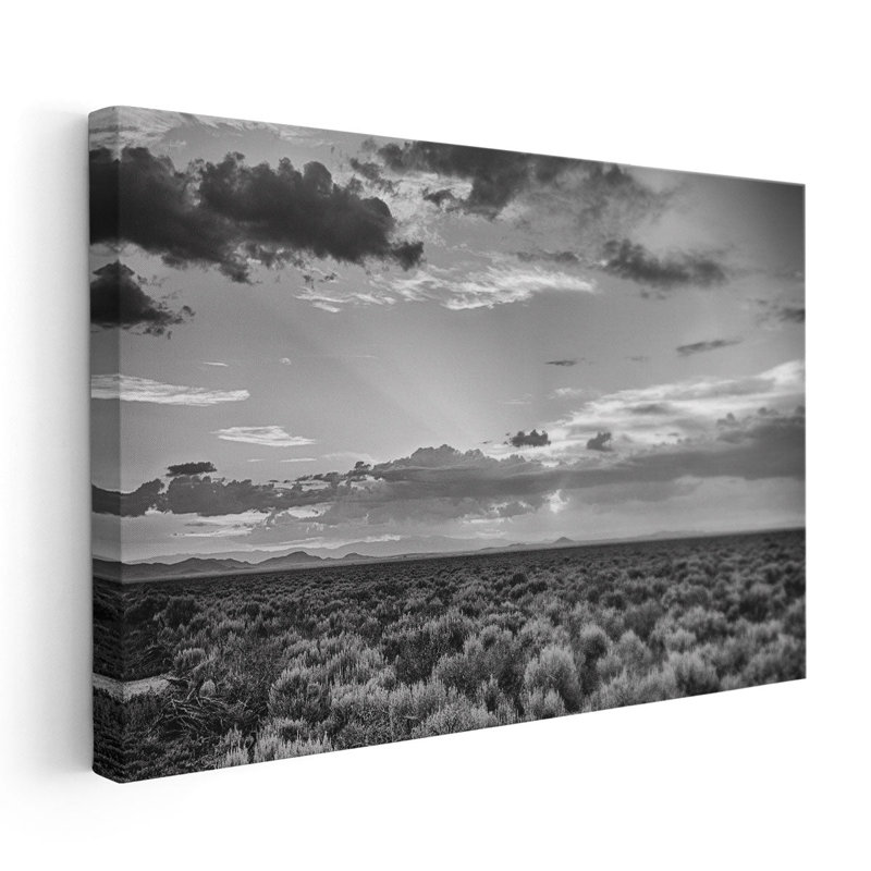 Sauge américaine - reproduction d'art sur toile, H 20 po x l 30 po