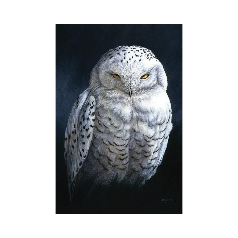 Spirit of the North - Snowy Owl par Jeremy Paul - reproduction d'art sur toile tendue, H 18 po x l 12 po x 1,5 po