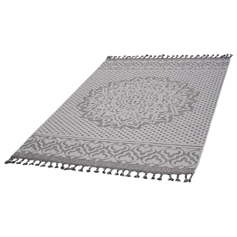 Traditional indoor/outdoor area rugs, Rectangle 4' x 6'2"