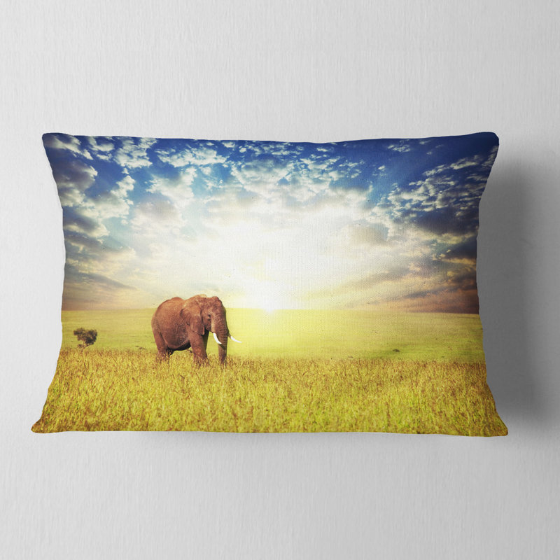 Coussin lombaire à herbe d’éléphant africain savannah