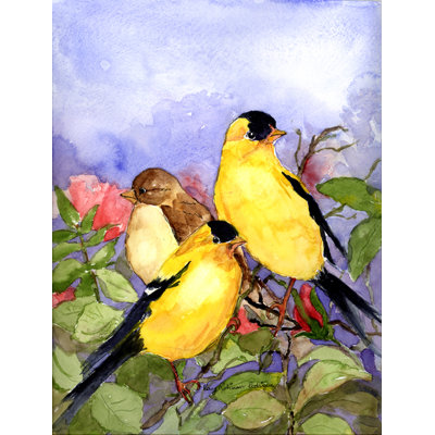 Drapeau De Jardin Recto-verso Américain Chardonneret