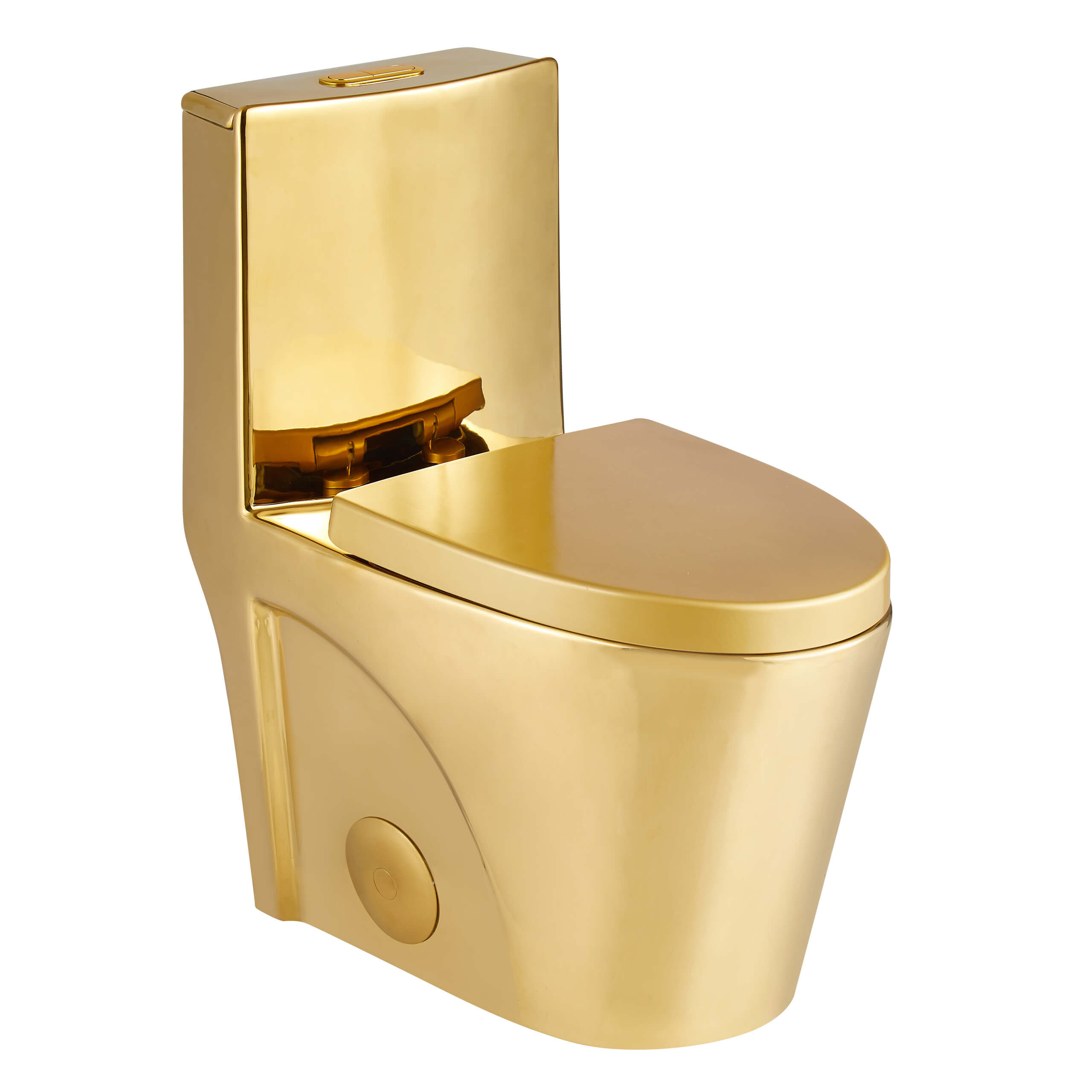 Fine Fixtures Dual-Flush Elongated One-Piece Toilet with High ...