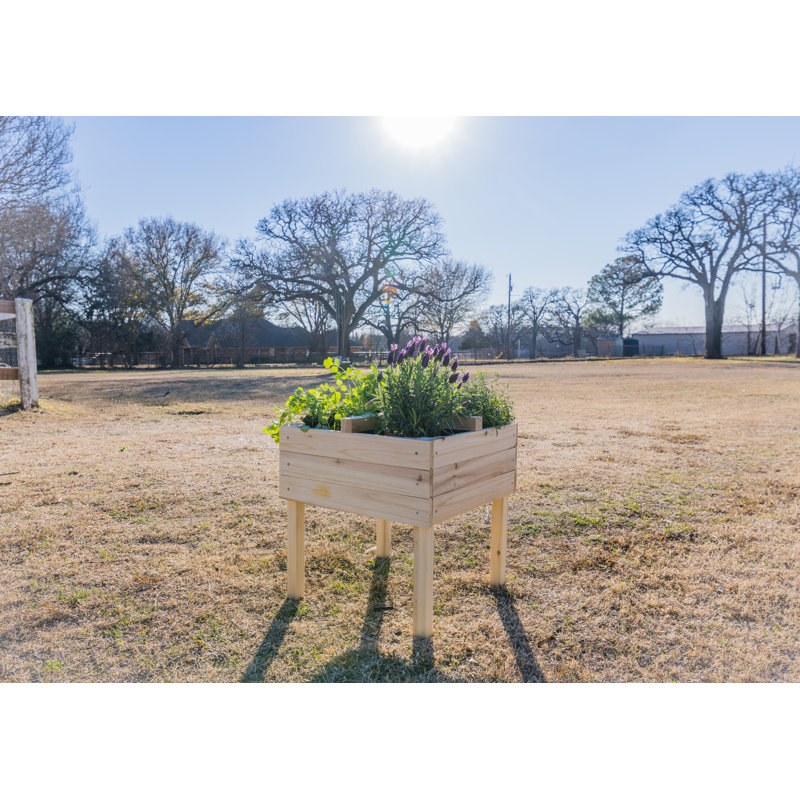 Graylie Wood Elevated Planter