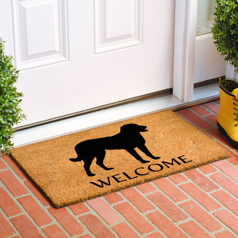 Tapis d'entrée antidérapant Retriever Chesapeake Bay, l 24 po x L 36 po