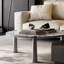 Table basse haut de gamme au design minimaliste