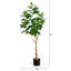 7 pi Ficus Audrey artificiel-1619356194