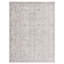 Oriental Area Rug in Grey / Ivory-1755028840