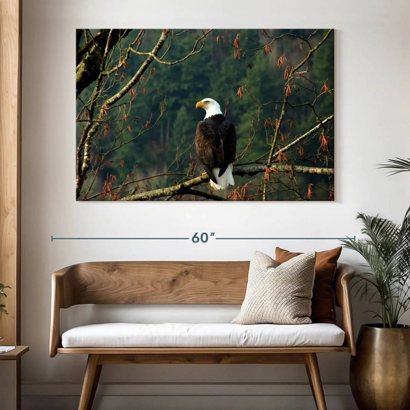 Brampt Perched Canadian Bald Eagle, 34" H x 51" W