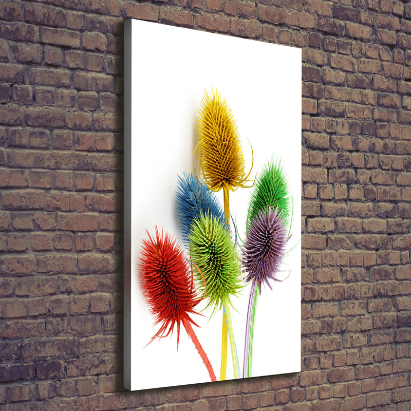 Thistle - Wrapped Canvas Print, 140cm H x 70cm W