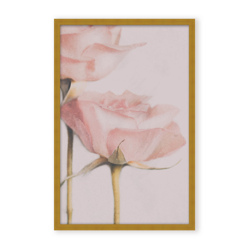 Nature Inspired Two Roses by  - Picture Frame Photograph on Paper, 36" H x 24" W x 1.125" D, Black, Framed Print