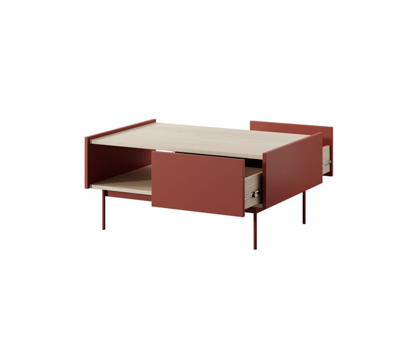 Botzow Coffee Table with Storage