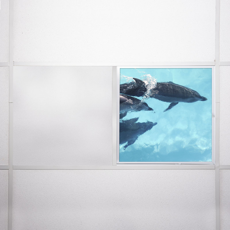 Ocean Square Fixture Component Ceiling Light