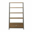 Ladder Storage Bookcase