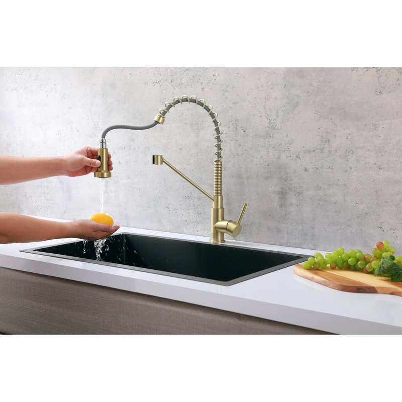 Elegant Home Living Yara Pull Down Spray Kitchen Faucet, Brushed Gold