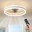 Ventilateur de plafond avec lumières DEL Lashowna-855458861