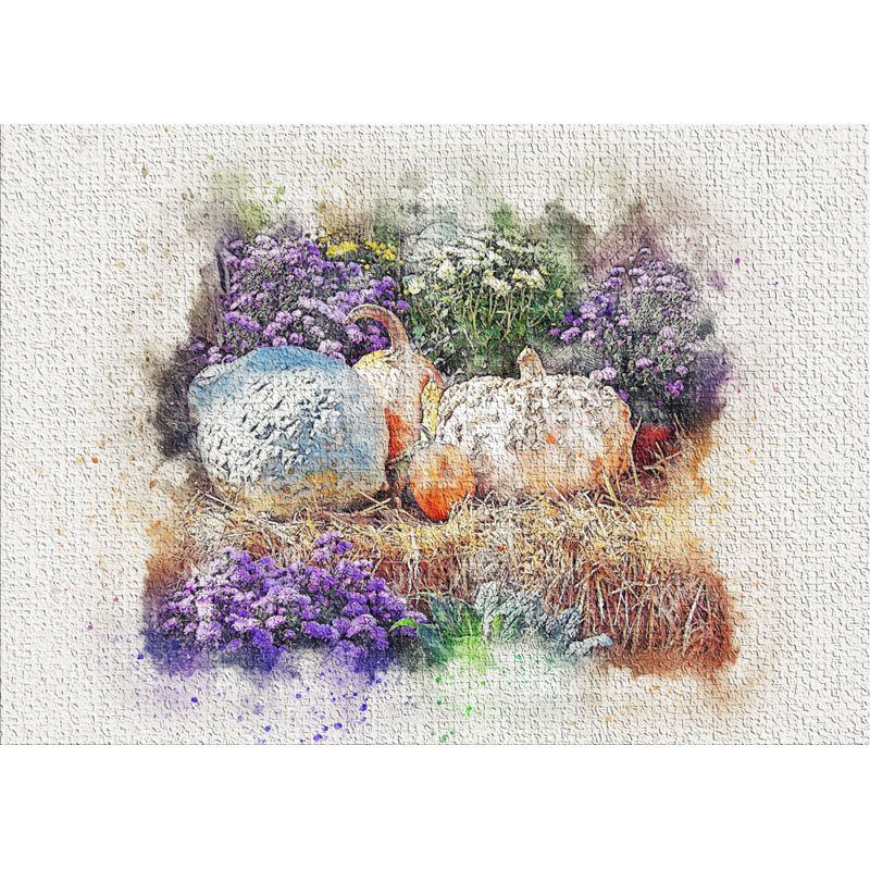 Indoor Rug, Rectangle 2' x 4'