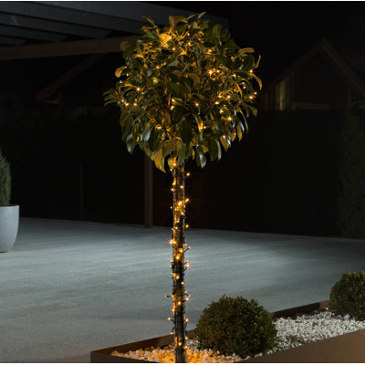 1772cm LED 160 - Bulb Wide Angle LED String Light