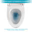 Toilette monobloc en céramique à une chasse avec siège cloisonné