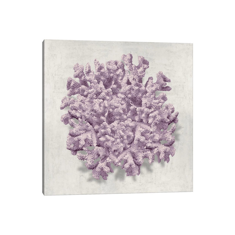 Coral Amethyst II by Caroline Kelly - Wrapped Canvas Print, 45.72 cm H x 45.72 cm W x 3.175 cm D