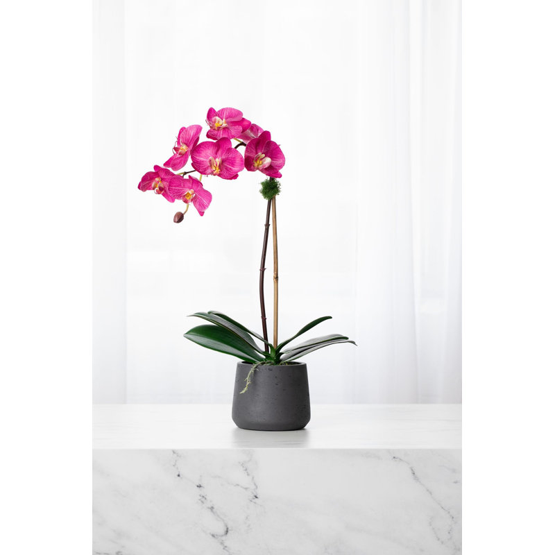 Orchid Floral Arrangements in Planter, Black
