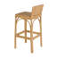Serienna Blue & White Rattan Low Back Counter Stool-1670048050-1653777190