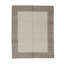 Oriental Area Rug