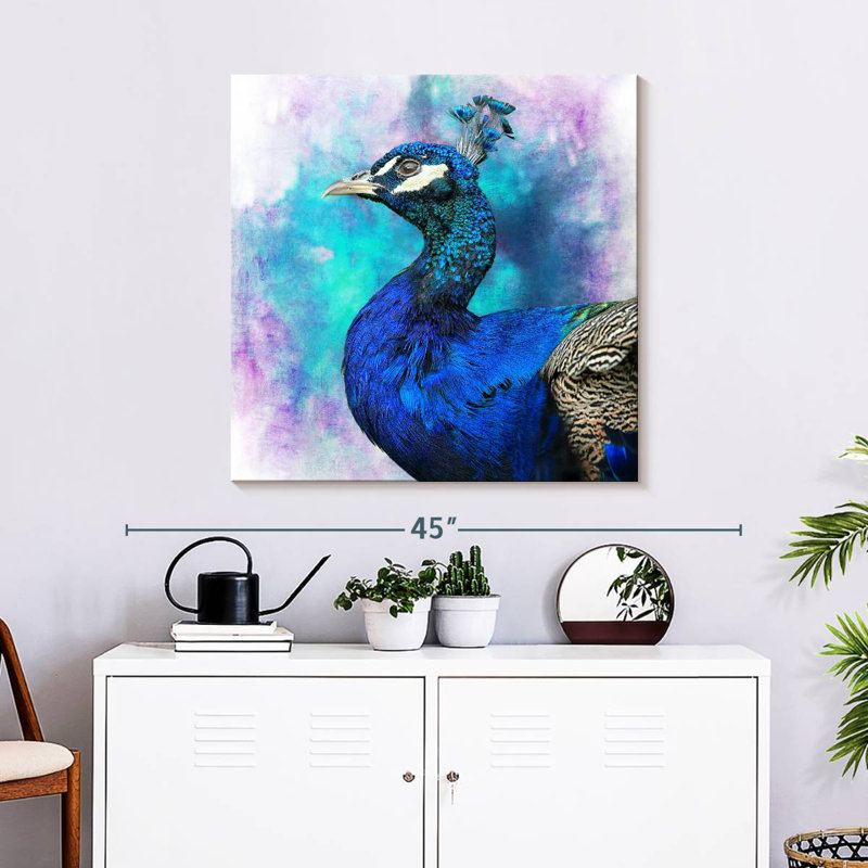 Brampt Proud Blue Peacock