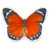 Light Orange