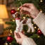 Arcadia Home Brittany Spaniel Hand-Knit Ornament